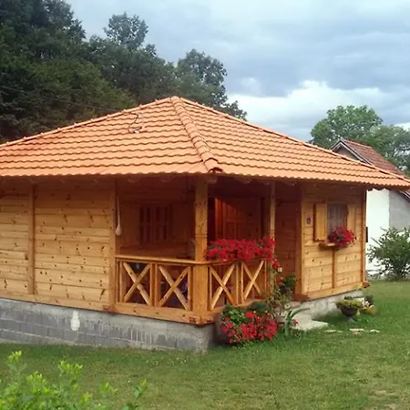 Apartment Etno Domacinstvo Stankovic Gornji Milanovac