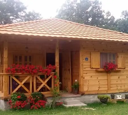 Apartment Etno Domacinstvo Stankovic *