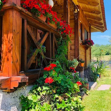 Etno Domacinstvo Stankovic *